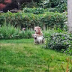 Meet your Posher, Celeste